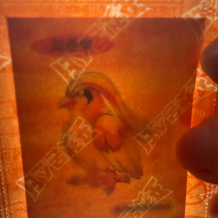 [BUNJANG] Pokemon Bread 30th Anniversary Original Artwork Mini Stickers (Pidgeot, Zubat, Dugtrio) - Sealed / [미개봉] 포켓몬빵 30주년 원화 띠부씰(이상해꽃,리자몽,라프라스,가디)