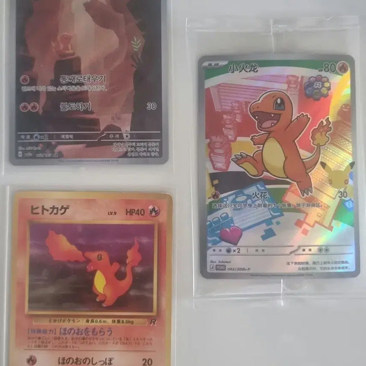 [BUNJANG] Pokemon Card Set - 30th Anniversary Squirtle, Charizard, Bulbasaur (Japanese Vintage) / 포켓몬카드 중판 30주년 파이리 한판 151 파이리 일본 빈티지 파이리