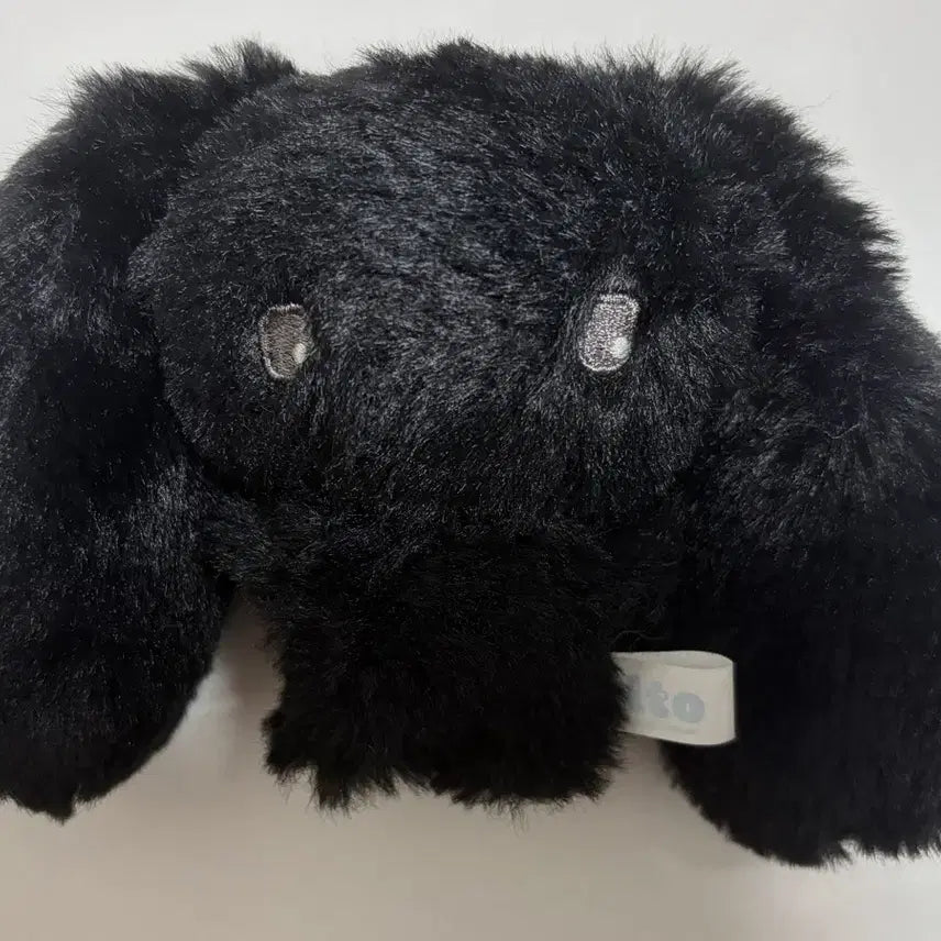 [BUNJANG] Jichoi Gift Shop Tonto Rabbit Plush Toy / 지초이 지프트샵 지토 인형 탄토