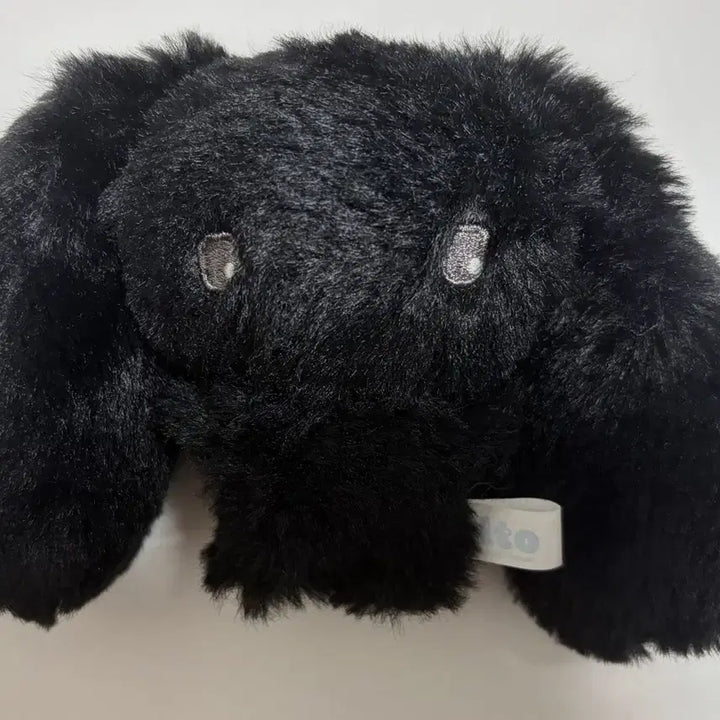 [BUNJANG] Jichoi Gift Shop Tonto Rabbit Plush Toy / 지초이 지프트샵 지토 인형 탄토