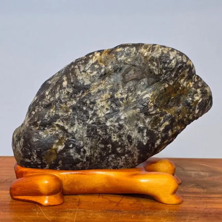 [BUNJANG] Geumgang Leopard Pattern Stone / 26051112 변화가 좋은 금강 호피 물형석 수석 팝니다
