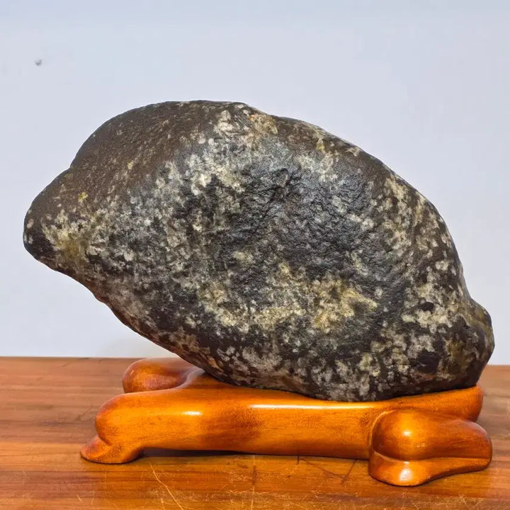 [BUNJANG] Geumgang Leopard Pattern Stone / 26051112 변화가 좋은 금강 호피 물형석 수석 팝니다