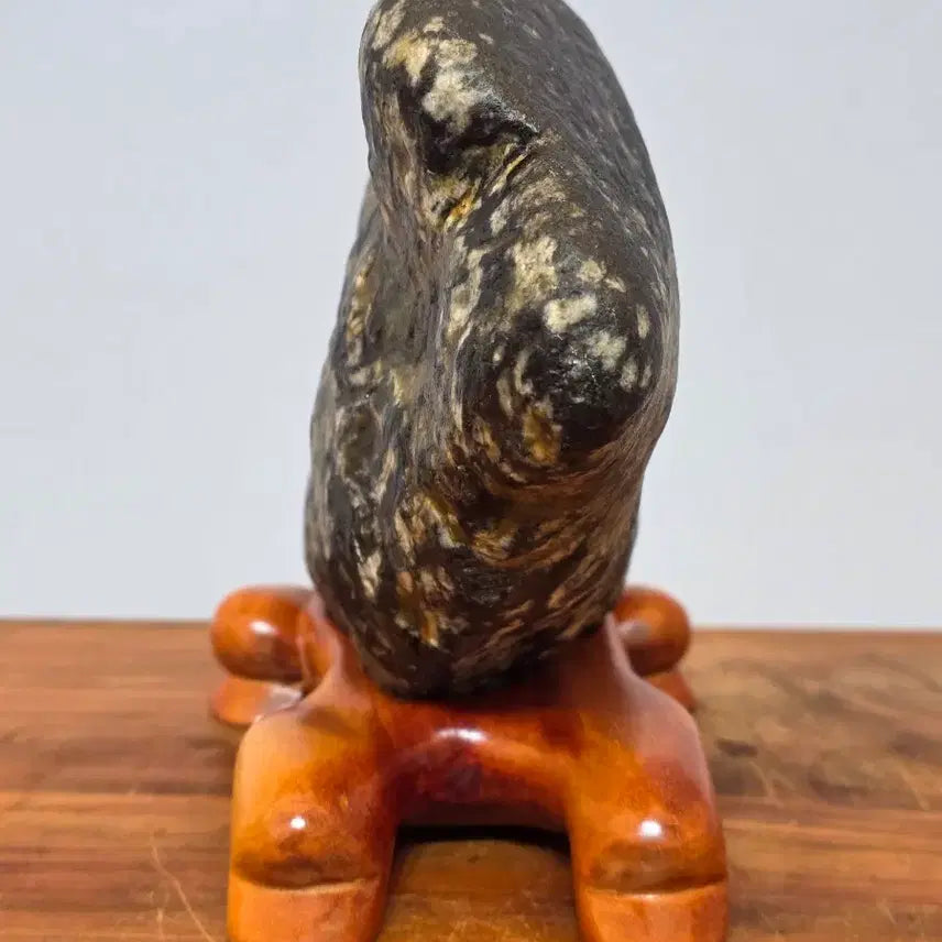 [BUNJANG] Geumgang Leopard Pattern Stone / 26051112 변화가 좋은 금강 호피 물형석 수석 팝니다