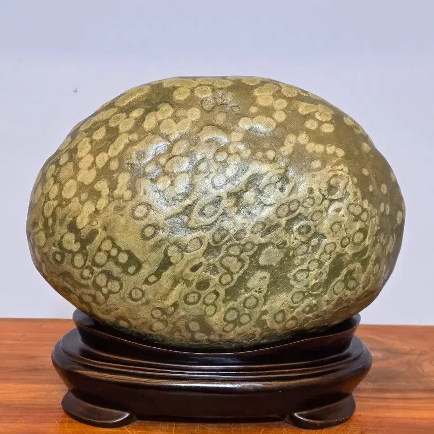 [BUNJANG] Chinese Grape Stone Suiseki / 26051115 포도알이 예쁜 중국 포도석 수석 팝니다
