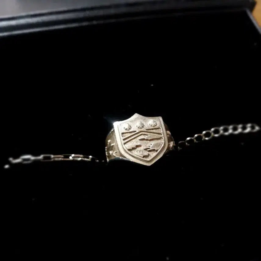[BUNJANG] Premium Bandai Vongola Ring Mukuro Rokudo Fog (Silver 925/Size 11) / 프리미엄 반다이 봉고레링 로쿠도 무쿠로 안개 (실버 925/11호)
