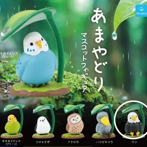[BUNJANG] Bird Avoiding Rain Figure Gacha / 비 피하는 새 피규어 가챠