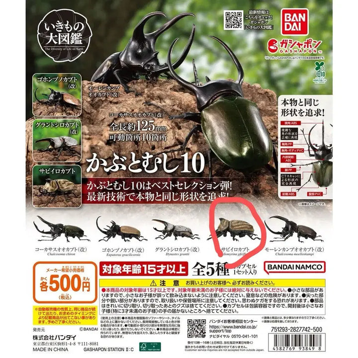 [BUNJANG] Bandai Creatures Great Beetle Vol. 10 Saiburo Kabuto Capsule Opened / 반다이 생물대도감 장수풍뎅이 10탄 사이부로카부토 캡슐개봉품 판매합니다.