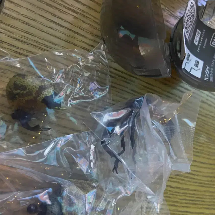 [BUNJANG] Bandai Creatures Great Beetle Vol. 10 Saiburo Kabuto Capsule Opened / 반다이 생물대도감 장수풍뎅이 10탄 사이부로카부토 캡슐개봉품 판매합니다.