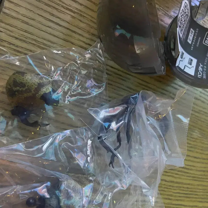 [BUNJANG] Bandai Creatures Great Beetle Vol. 10 Saiburo Kabuto Capsule Opened / 반다이 생물대도감 장수풍뎅이 10탄 사이부로카부토 캡슐개봉품 판매합니다.