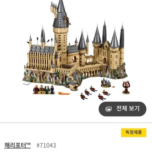 [BUNJANG] LEGO Harry Potter Hogwarts Castle 71043 / 레고 해리포터 호그와트 성 71043