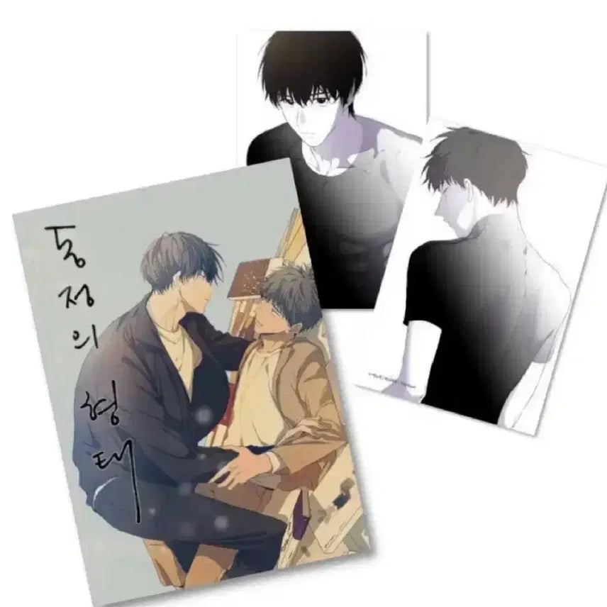 [BUNJANG] The Shape of Affection Postcard Book &amp; POB Photocard Bundle Set / 동정의 형태 엽서북랑 특전 포카 양도