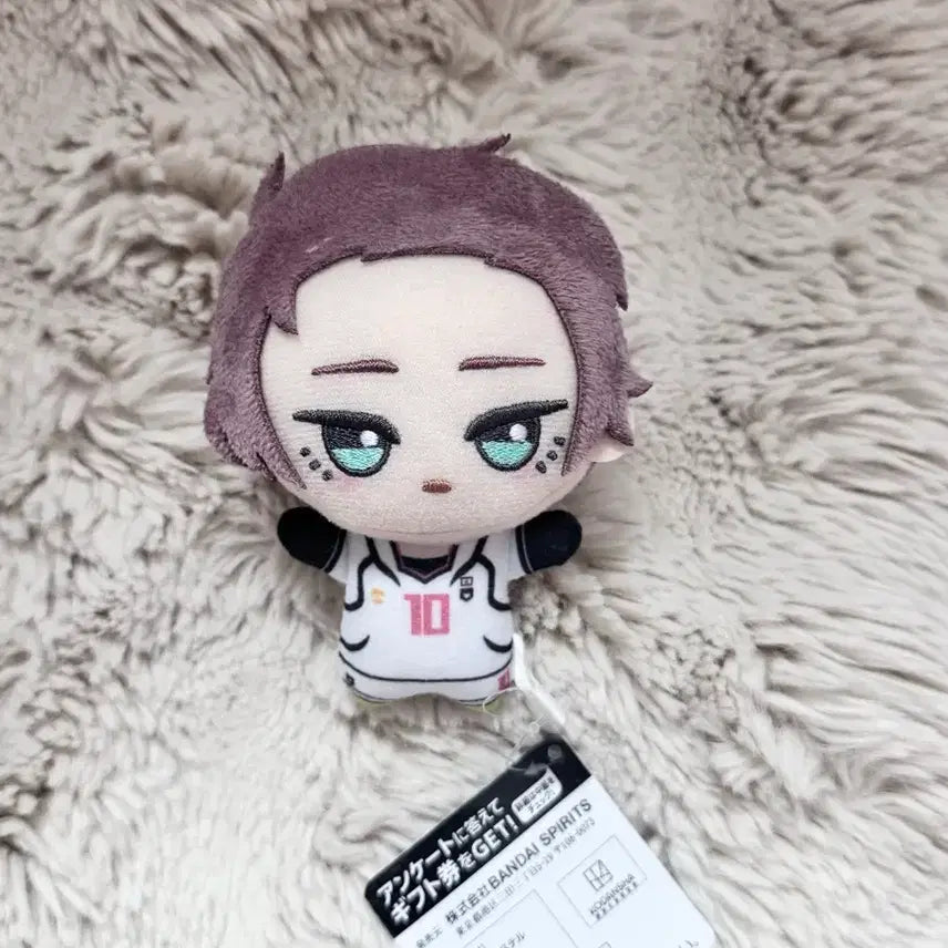 [BUNJANG] Blue Lock Isagi Yoichi U20 Chibi Plush / 블루록 이토시사에 u20 치비누이