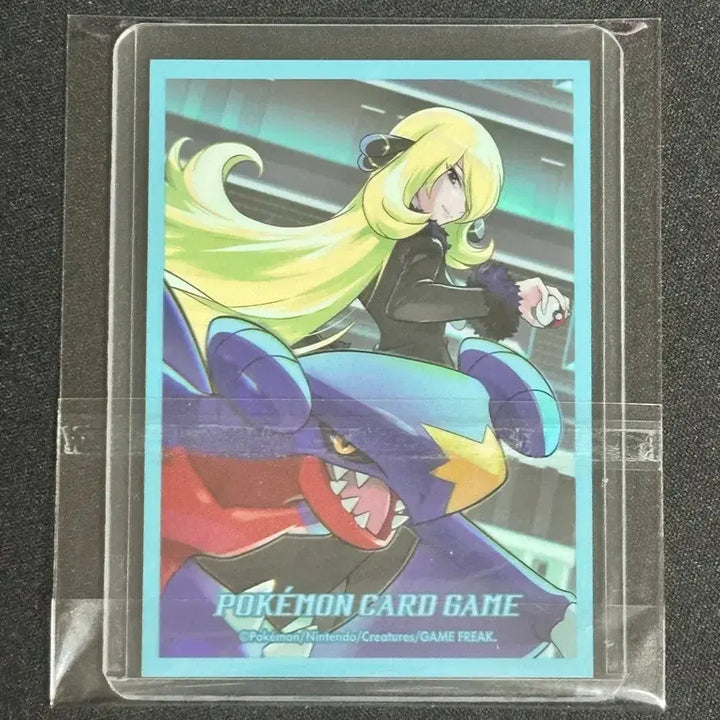 [BUNJANG] Pokemon Card Cynthia&