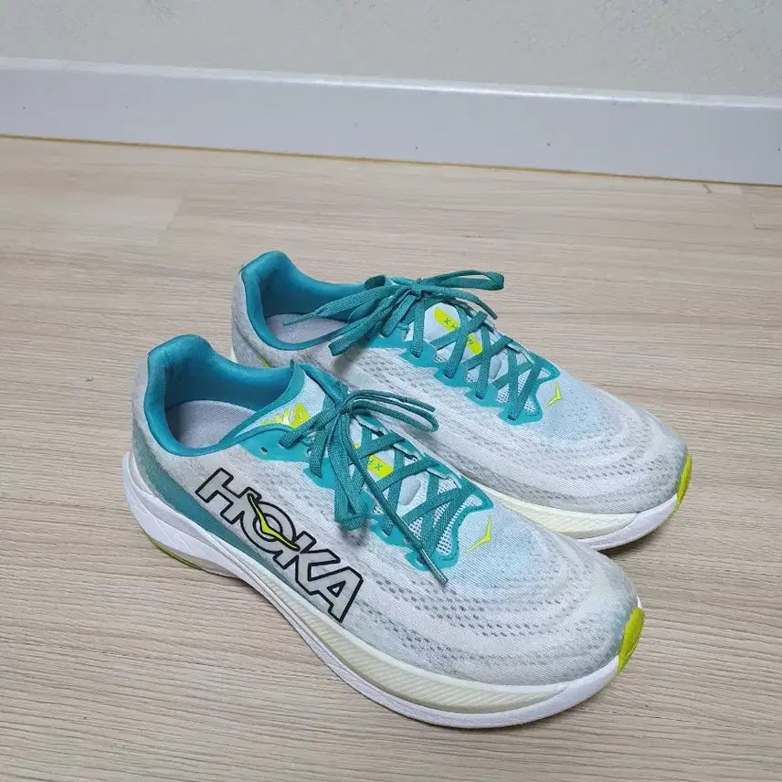 [BUNJANG] Hoka Mach X Running Shoes Size 290 / 호카 마하 X 러닝화 290