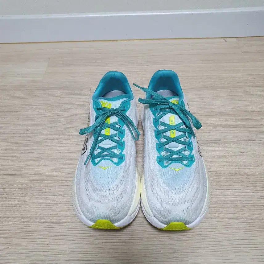 [BUNJANG] Hoka Mach X Running Shoes Size 290 / 호카 마하 X 러닝화 290