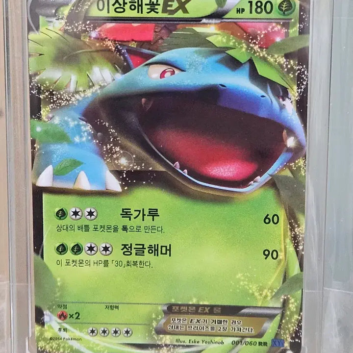 [BUNJANG] Pokemon Card M Venusaur EX / 포켓몬 카드 M이상해꽃EX