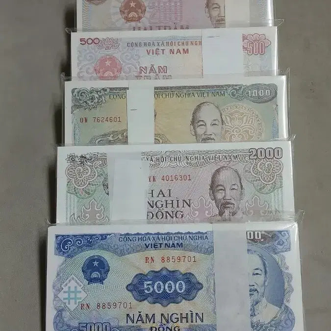 [BUNJANG] Vietnam Old Currency 5 Bundles / 옛날돈 베트남 구권 5다발 일괄