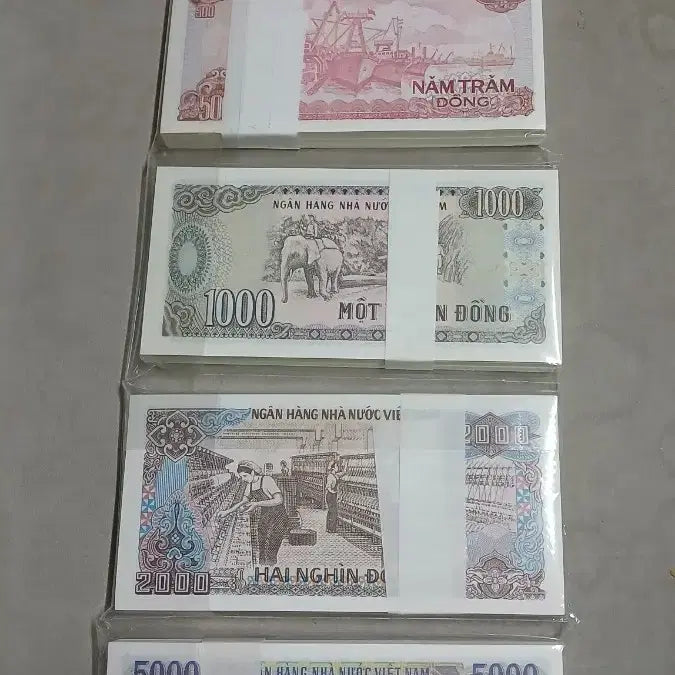 [BUNJANG] Vietnam Old Currency 5 Bundles / 옛날돈 베트남 구권 5다발 일괄