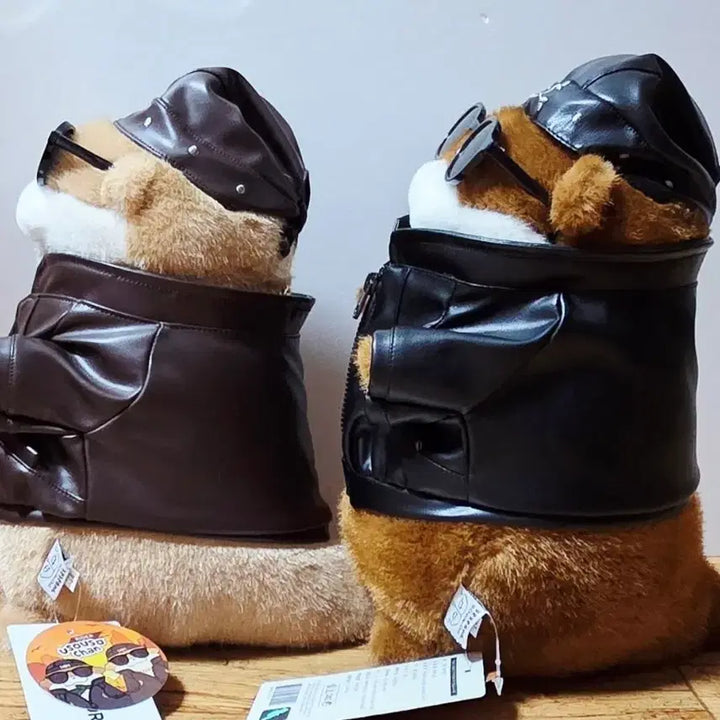 [BUNJANG] Rider Usosuchan Brown, Dark Brown 27cm Doll Set / (세트)라이더 우소우소짱 브라운, 다크브라운 27cm 인형
