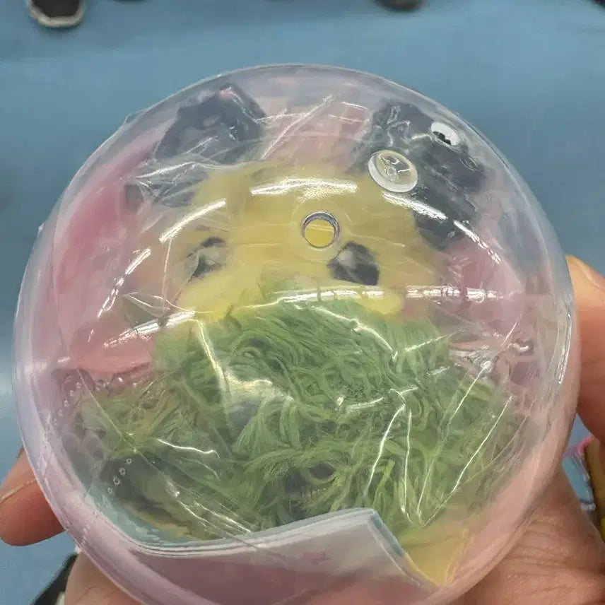 [BUNJANG] Pokemon Store Hairpin Collection Pichu / 포켓몬스토어 헤어핀컬렉션