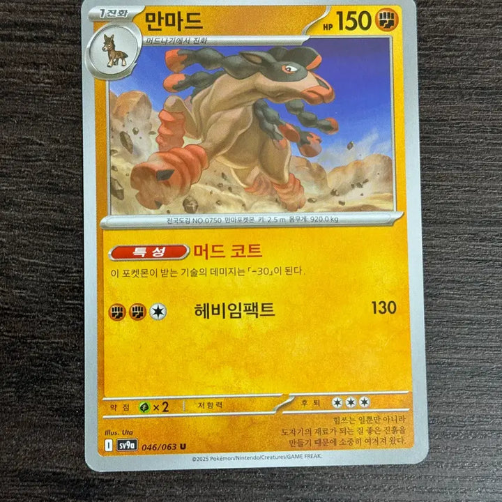 [BUNJANG] Pokemon Card Accessories Bundle Set / 포켓몬카드 만마드 판매 2
