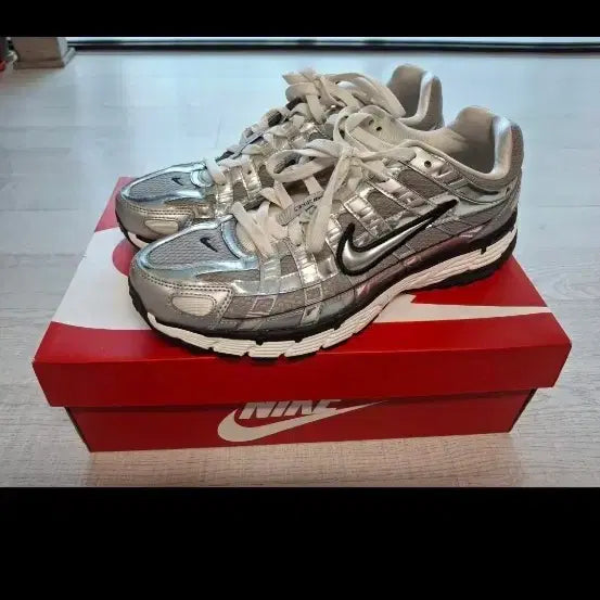 [BUNJANG] Nike P-6000 Sneakers (275) / 나이키 P-6000 275