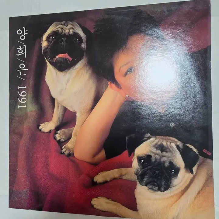 [SOLD OUT] 양희은 1991 LP 초반