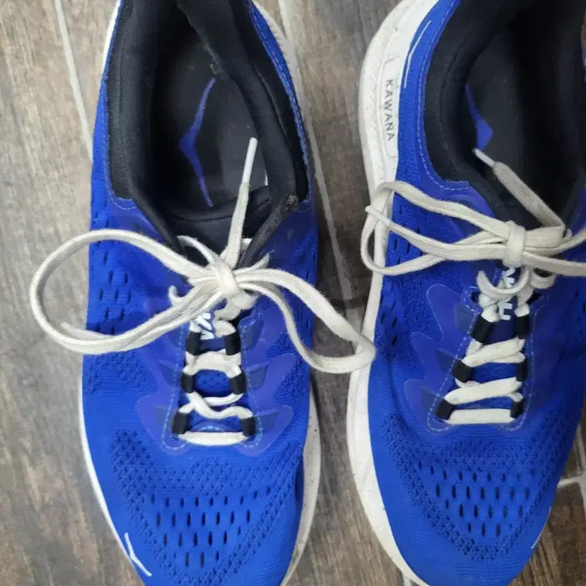 [BUNJANG] Hoka Blue Running Shoes Size 265 / 호카 HOKA 블루 운동화265