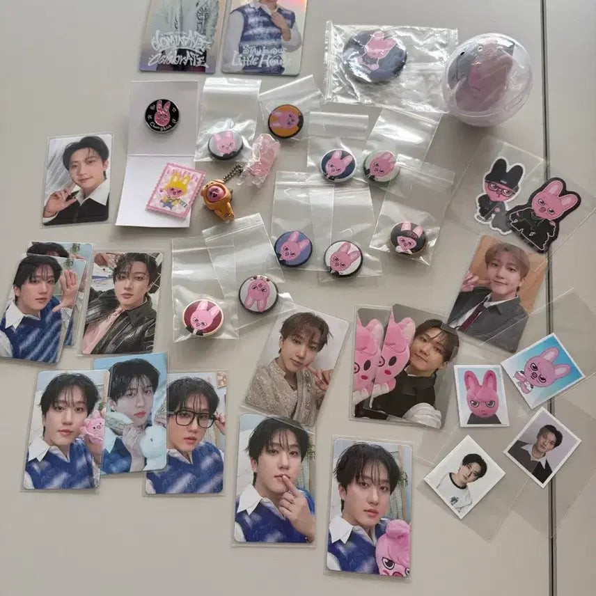 [BUNJANG] Stray Kids Changbin Dwaekki Goods &amp; Gacha / 스트레이키즈 창빈, 스키주 돼끼(굿즈 및 가챠)