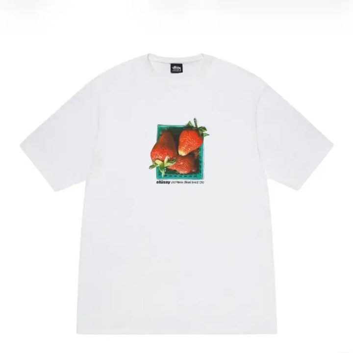 [BUNJANG] Stussy Berries T-Shirt White / 스투시 베리즈 티셔츠 화이트