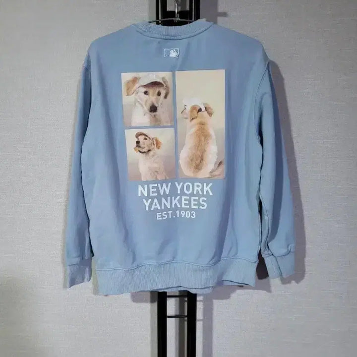 [BUNJANG] MLB New York Yankees Sweatshirt Pastel Blue XS / MLB 뉴욕 양키스 맨투맨 하늘색 XS