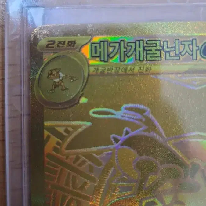 [BUNJANG] Mega Blastoise ex mur Card / 메가개굴닌자ex mur