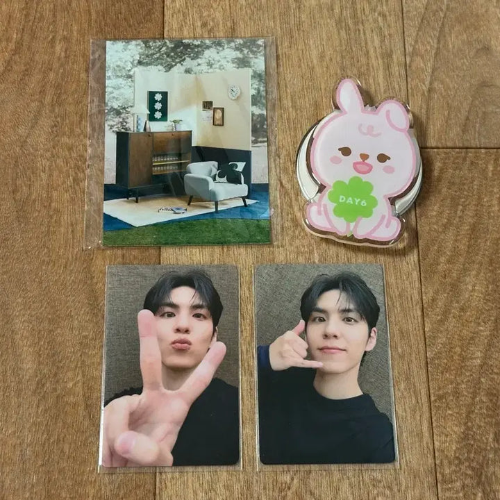 [BUNJANG] Day6 DENIMALS Grip Tok + Tower Records Wonpil Photocard Bundle Set / (일괄) 데이식스 일본 엠디 데니멀즈 필 그립톡 + 타워레코드 원필 포카