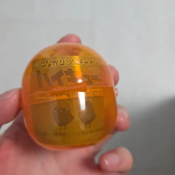 [BUNJANG] Haikyuu!! Animascot Mezushi Hinata (Sealed) / 하이큐 가챠 애니마스코트 메지루시 히나타(미개봉 새상품)