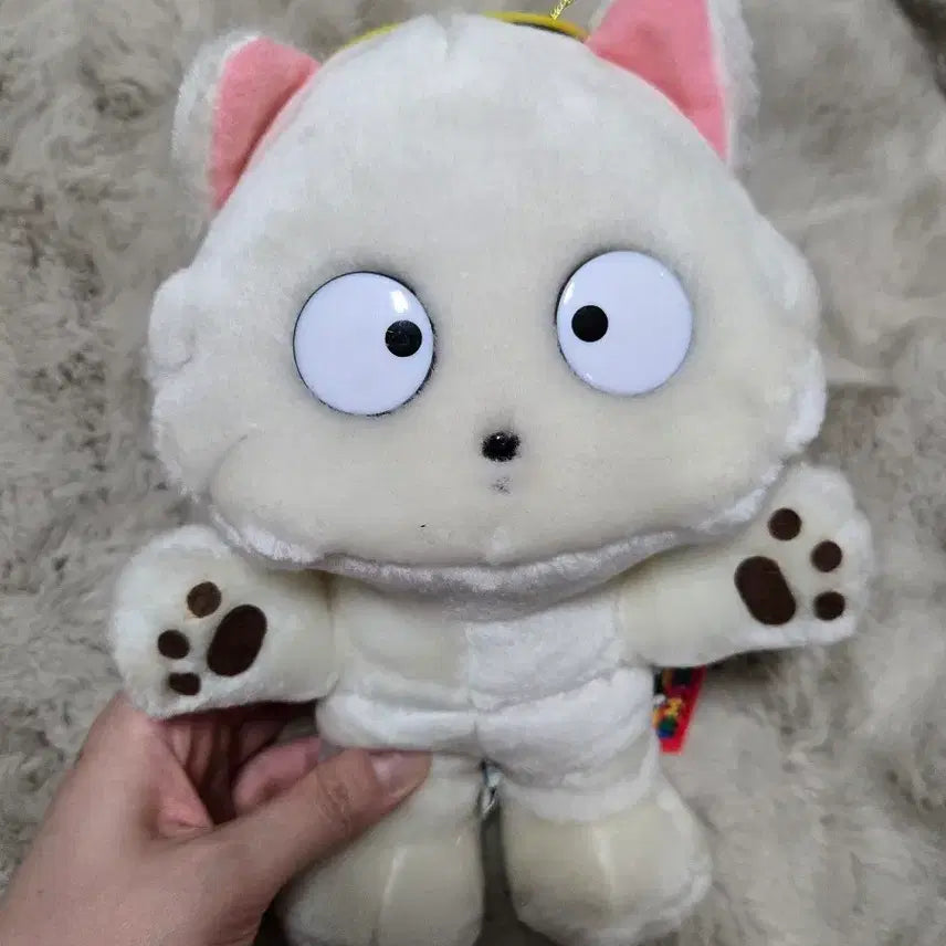 [BUNJANG] Tama and Friends Tama Hoya Classic Plush Set / 타마와친구들 타마 호야 고전 인형