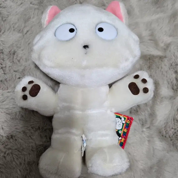 [BUNJANG] Tama and Friends Tama Hoya Classic Plush Set / 타마와친구들 타마 호야 고전 인형