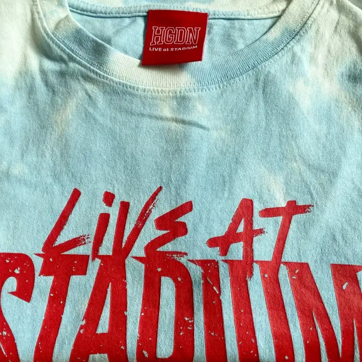 [BUNJANG] Official Hige Dandism Tie-Dye T-Shirt (L) / 히게단 타이다이 티셔츠( L)