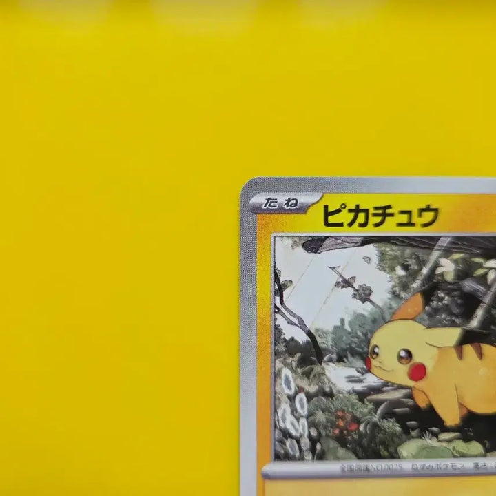 [BUNJANG] Pokemon Card Game Start Deck 100 Pikachu Japanese / 포켓몬카드 스타트덱100  피카츄 ss급 일판 일본판1