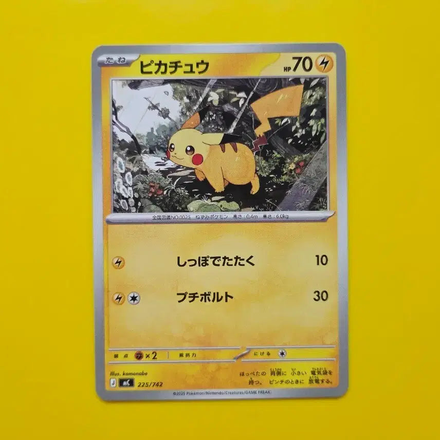 [BUNJANG] Pokemon Card Start Deck 100 Pikachu Japanese / 포켓몬카드 스타트덱100 피카츄 ss급 일판 일본판2
