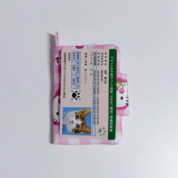 [BUNJANG] Sanrio Hello Kitty Cherry Mini Card Holder / 산리오 헬로키티 체리 미니 카드지갑