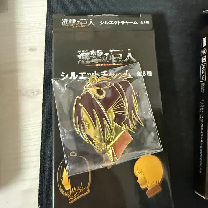 [BUNJANG] Attack on Titan Silhouette Charm Hanji &amp; Armin (Megabox Exclusive) / 메가박스 진격의 거인 실루엣 참 한지, 아르민