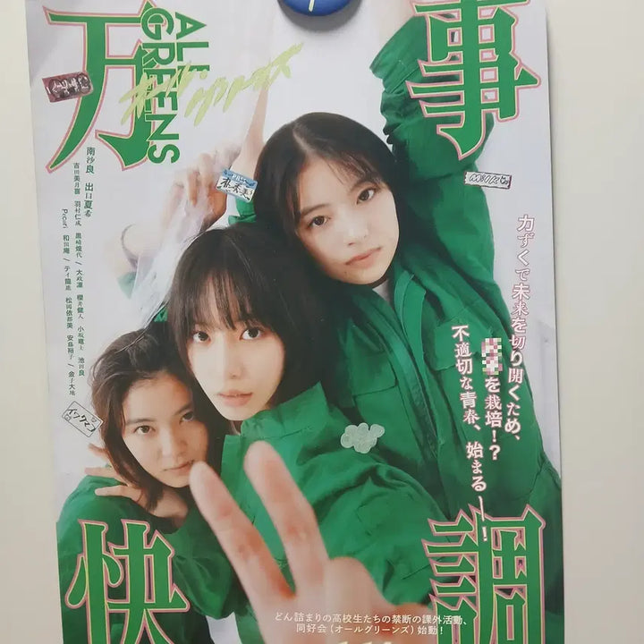 [BUNJANG] Deguchi Natsuki "All Greens" Film Japan Poster / 데구치 나츠키 영화 올 그린스 일본 포스터