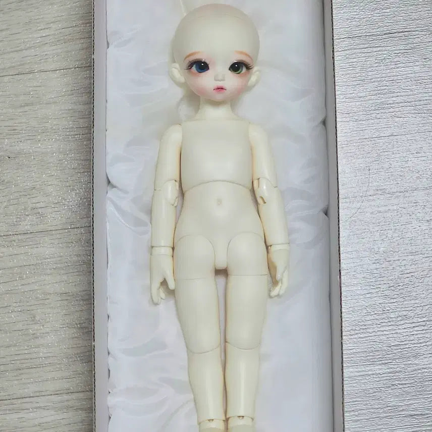 [BUNJANG] Roots Honey Delf Madeleine Doll - Full Set / (급처) 루츠 usd 허니델프 마들렌 물포 일괄