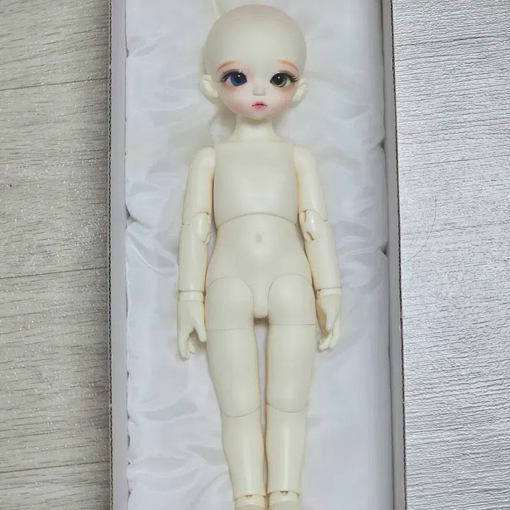 [BUNJANG] Roots Honey Delf Madeleine Doll - Full Set / (급처) 루츠 usd 허니델프 마들렌 물포 일괄