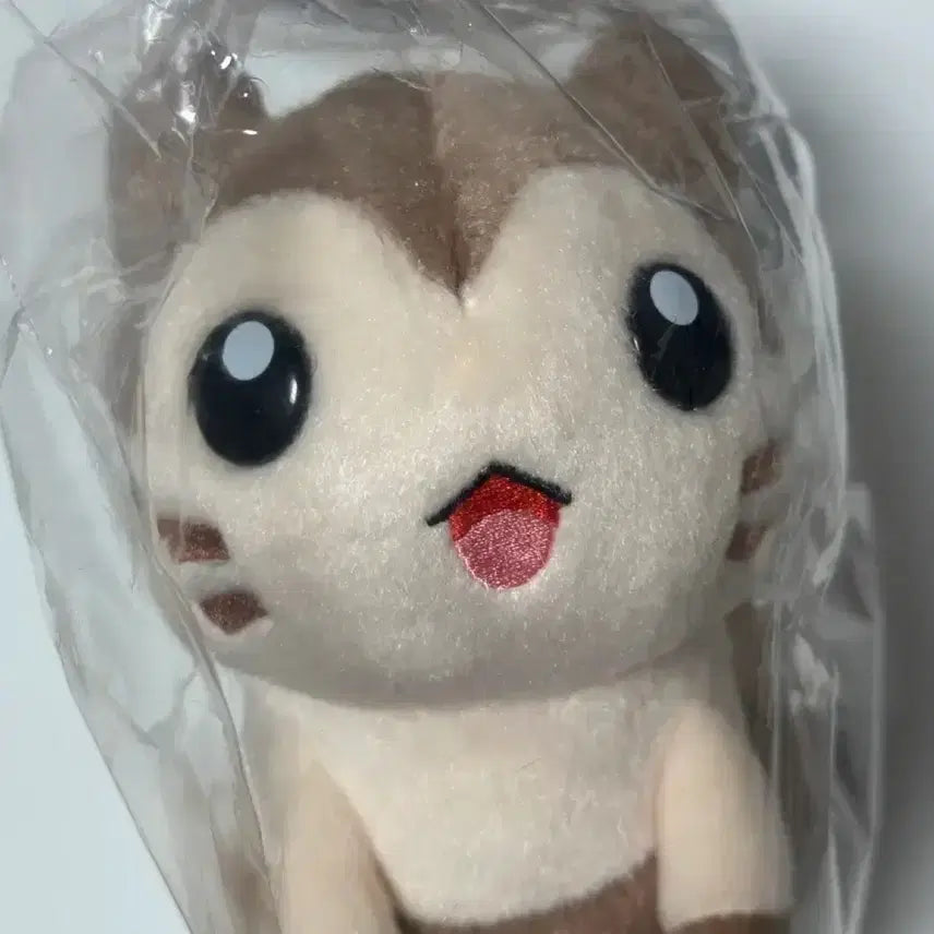 [BUNJANG] Pokemon Ddakori Plush Toy / 포켓몬스터 너로정했다 GET 다꼬리 인형