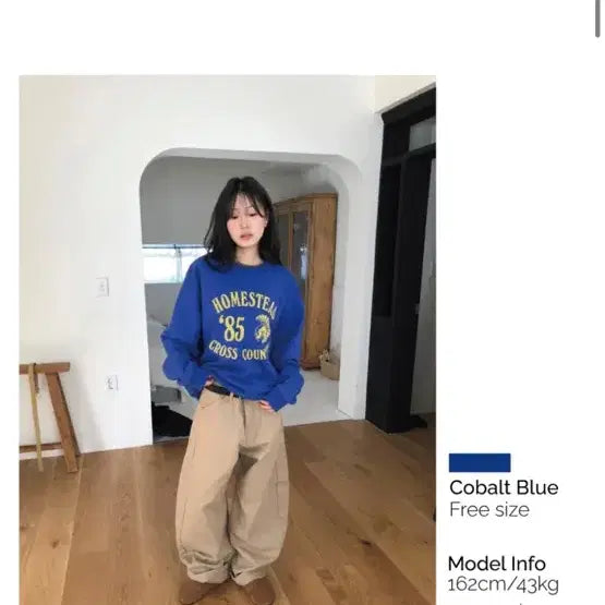 [BUNJANG] Homestead Sweatshirt Cobalt Blue / Homested sweatshirt 새상품