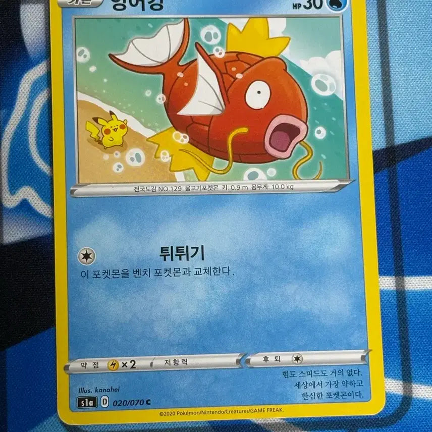 [BUNJANG] Kanahei Magikarp Pokemon Card / [귀여운 포켓몬카드] kanahei 잉어킹 (Magikarp)