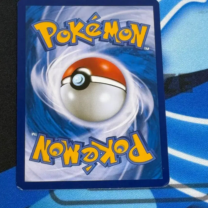 [BUNJANG] Kanahei Magikarp Pokemon Card / [귀여운 포켓몬카드] kanahei 잉어킹 (Magikarp)