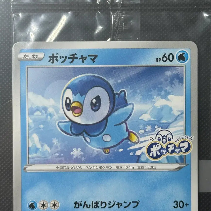 [BUNJANG] Sealed Japanese Promo Pokemon Card / [ 미개봉 ] 팽도리 일판 프로모 포켓몬 카드