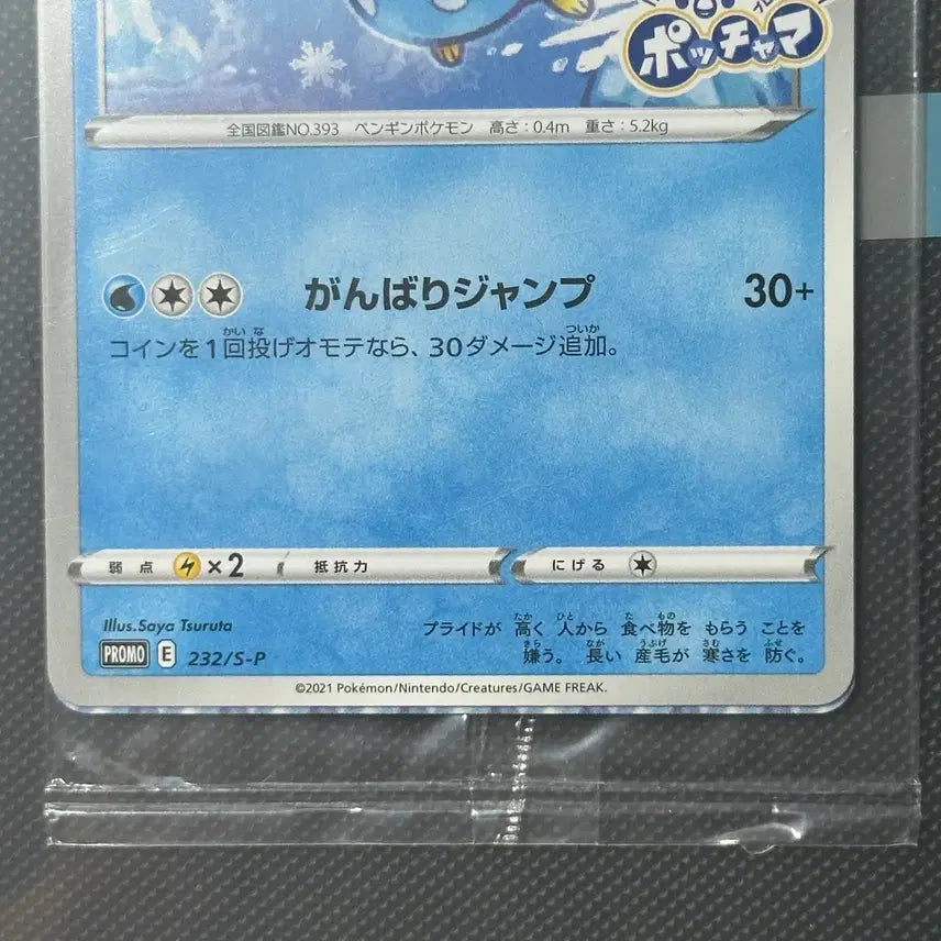 [BUNJANG] Sealed Japanese Promo Pokemon Card / [ 미개봉 ] 팽도리 일판 프로모 포켓몬 카드
